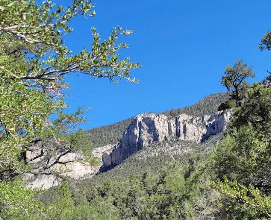 Fletcher View Campground