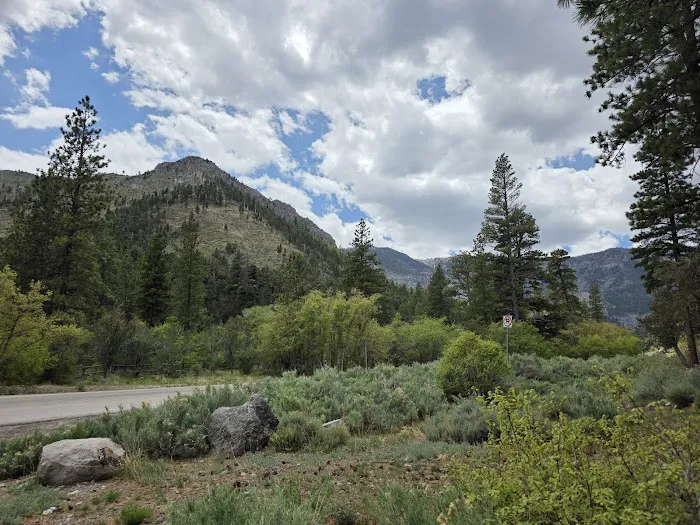 Fletcher View Campground 4