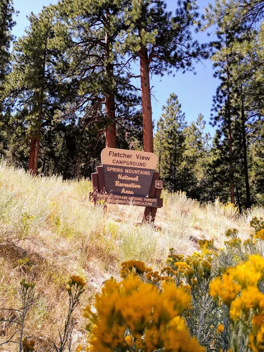 Fletcher View Campground 7