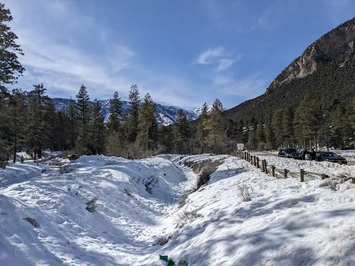 Fletcher View Campground 6