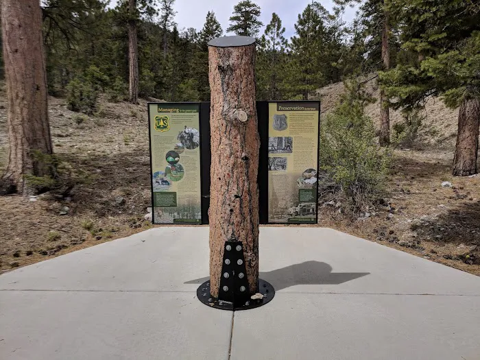 McWilliams Campground 1