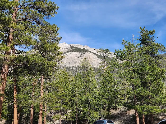 McWilliams Campground 0