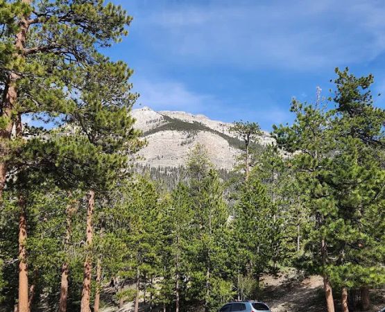 McWilliams Campground