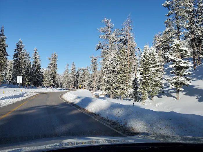 McWilliams Campground 4