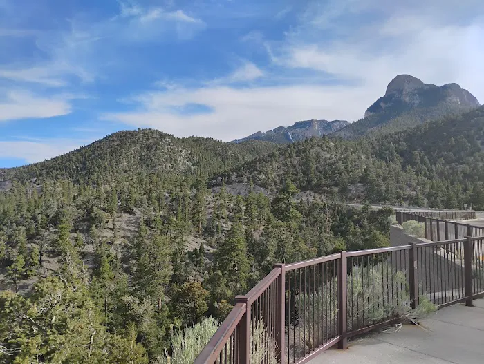 McWilliams Campground 7