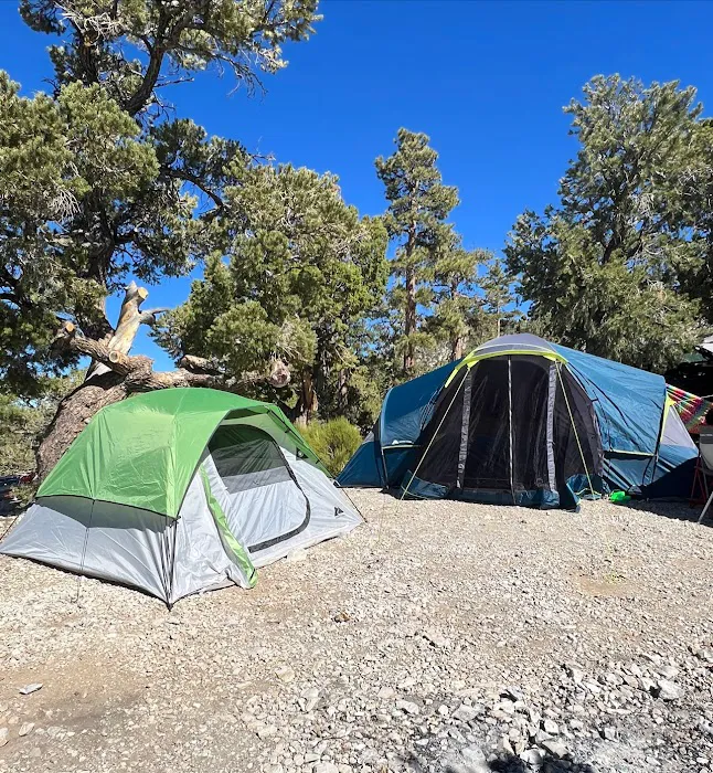 Mack's Canyon open campground 5