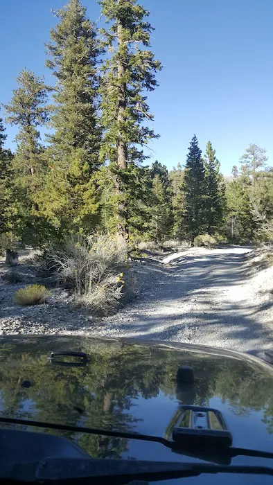 Mack's Canyon open campground 3