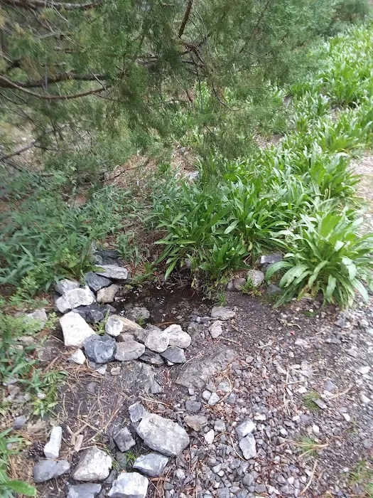 Mack's Canyon open campground 7