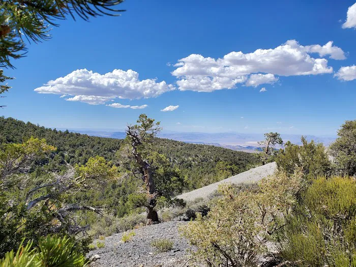 Mack's Canyon open campground 4