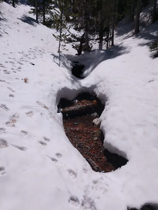 Mack's Canyon open campground 9