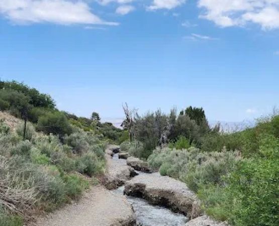 Willow Creek