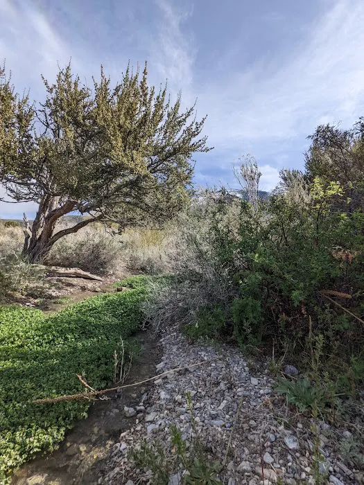 Willow Creek 6