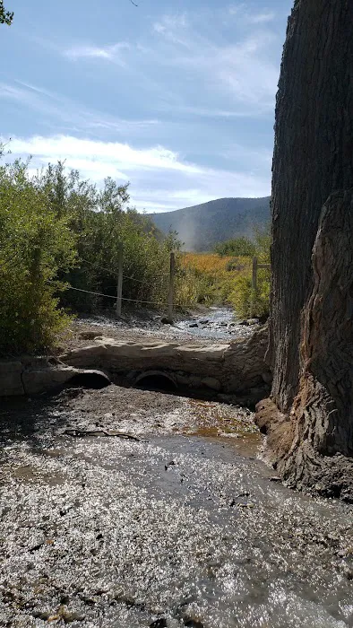 Willow Creek 4