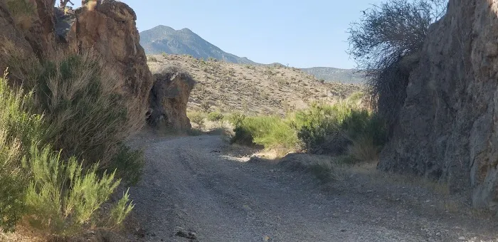Willow Creek 9