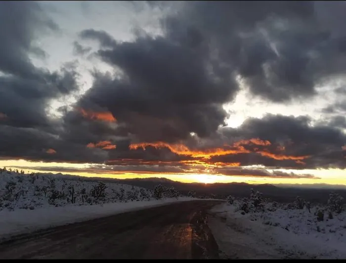 Wheeler Pass Campground 4