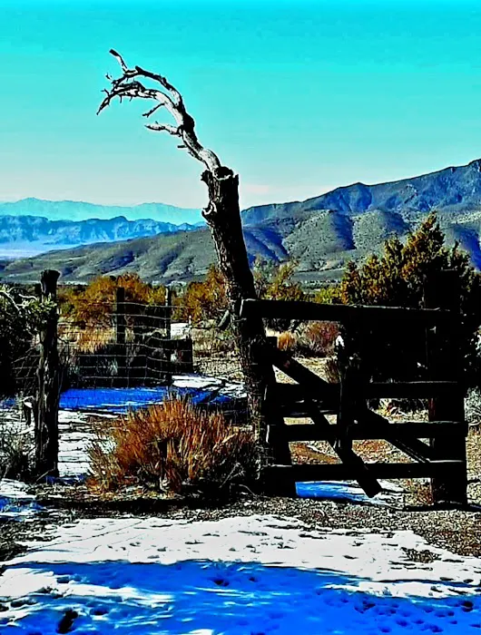Wheeler Pass Campground 3
