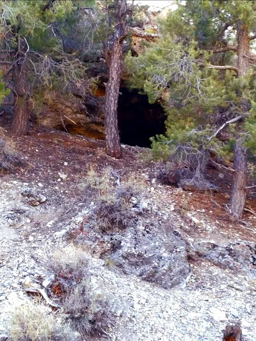 Wheeler Pass Campground 7