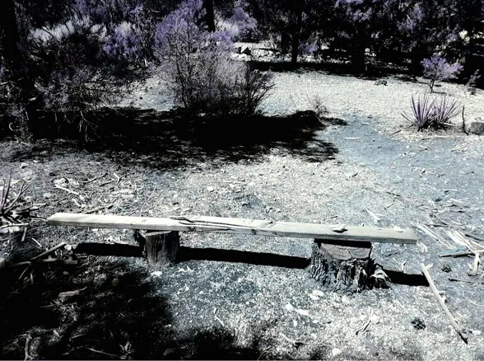 Wheeler Pass Campground 6