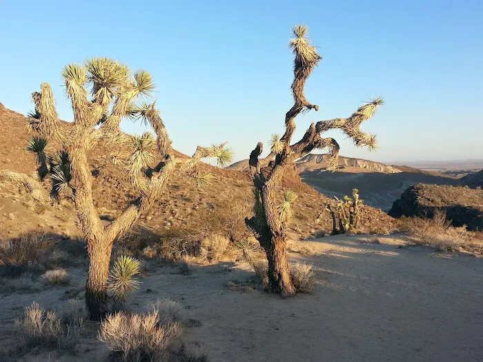 Red Rock Canyon Campground 1