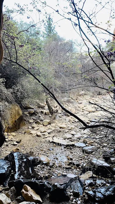 Red Rock Canyon Campground 6