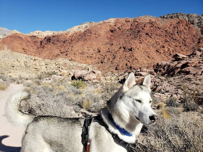 Red Rock Campground 7