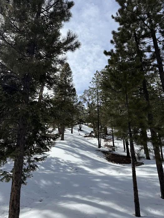 McWilliams Campground 1