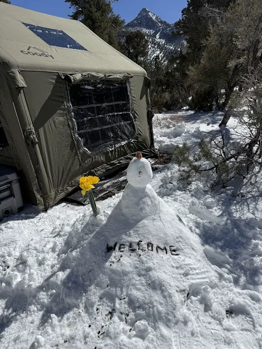 McWilliams Campground 4