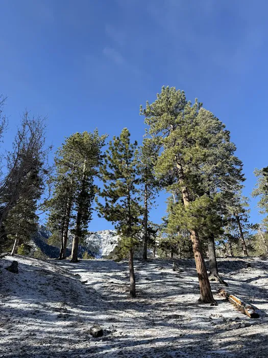 McWilliams Campground 3