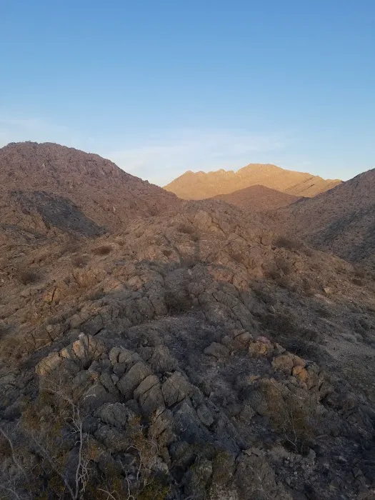 Gass Peak Road Camping Area 8