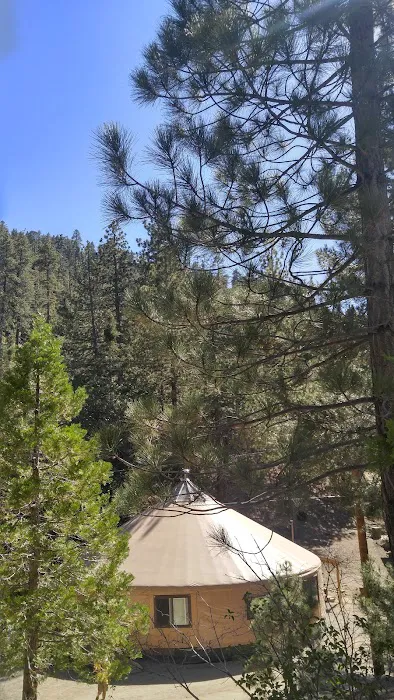 BYA Harmony Pines Youth Camp 9