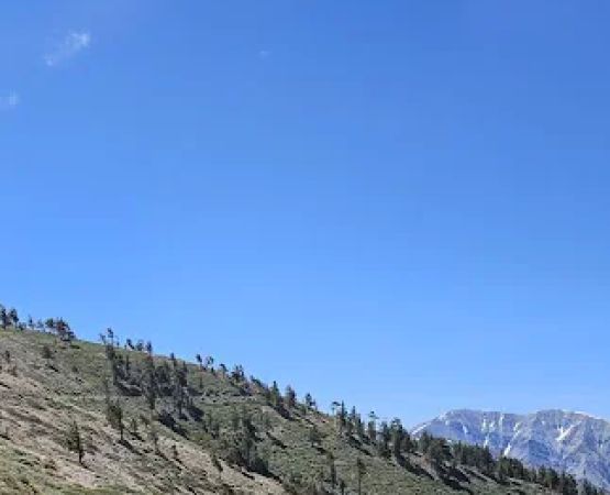 Jackson Flat Campground