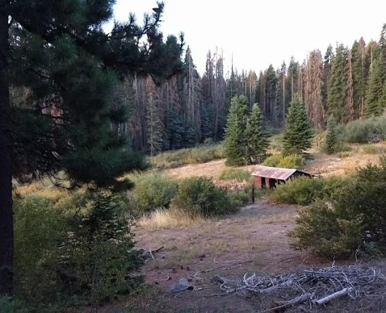 Frog Meadow Recreational Rental Cabin