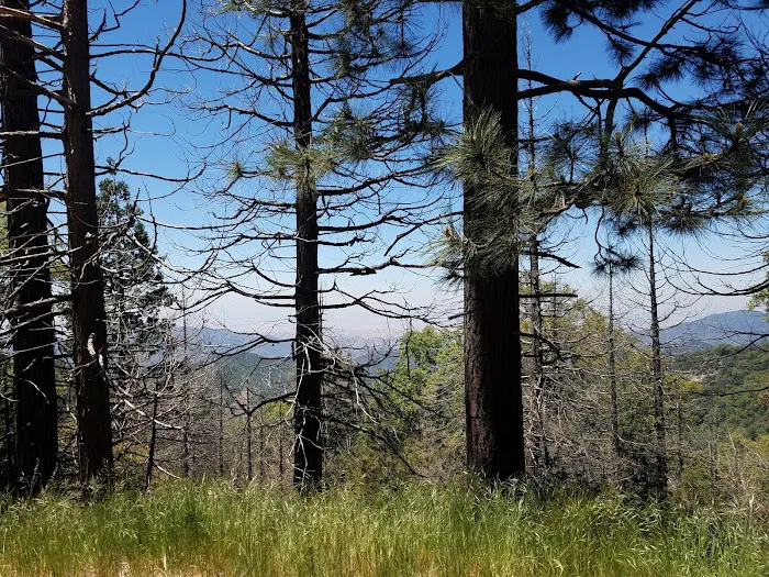 Long Meadow Group Campground 2