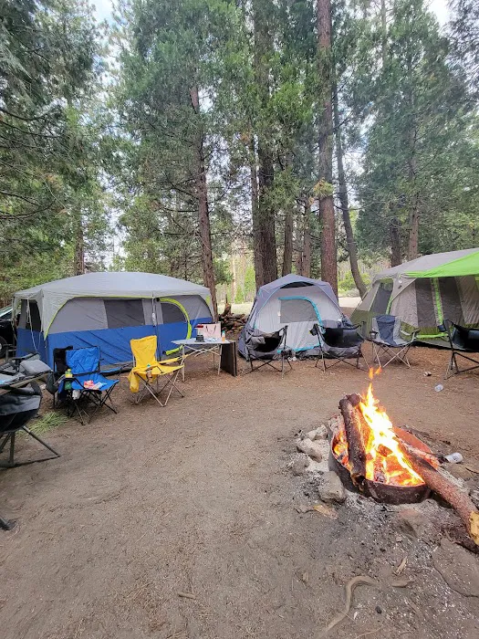 Long Meadow Group Campground 6