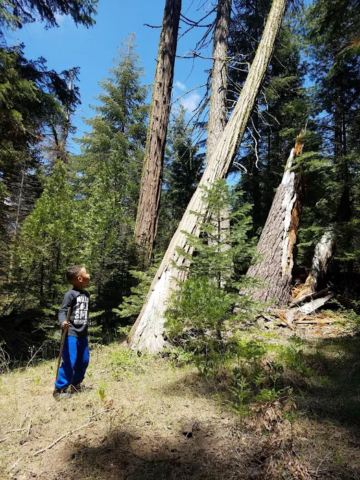 Long Meadow Group Campground 7