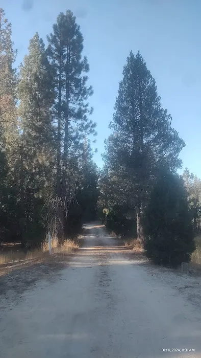 Long Meadow Group Campground 8