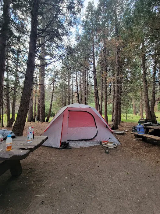 Long Meadow Group Campground 9