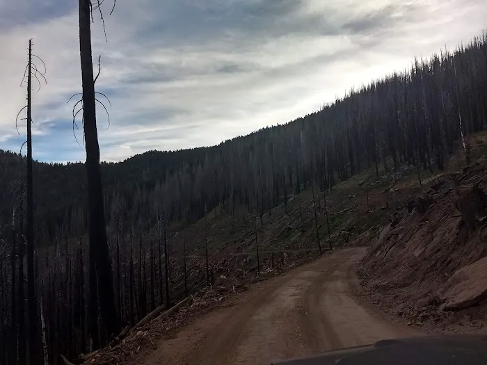 Frog Meadow Campground 0