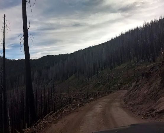Frog Meadow Campground