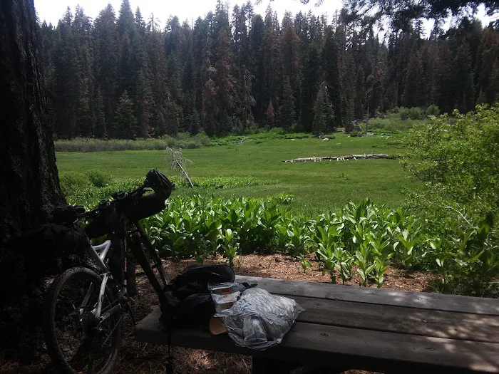 Frog Meadow Campground 3