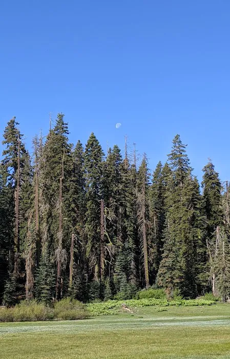 Frog Meadow Campground 5
