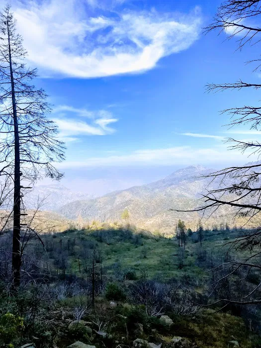 Frog Meadow Campground 8