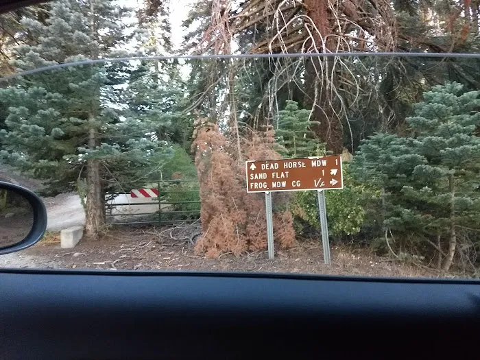 Frog Meadow Campground 9
