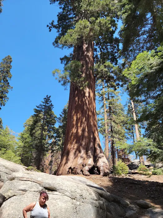 Redwood Meadow Campground 2