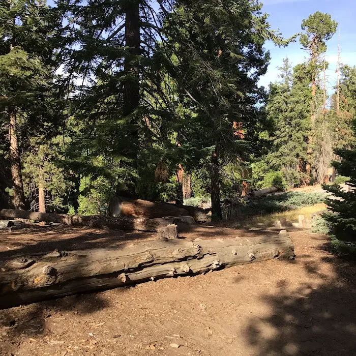 Redwood Meadow Campground 5