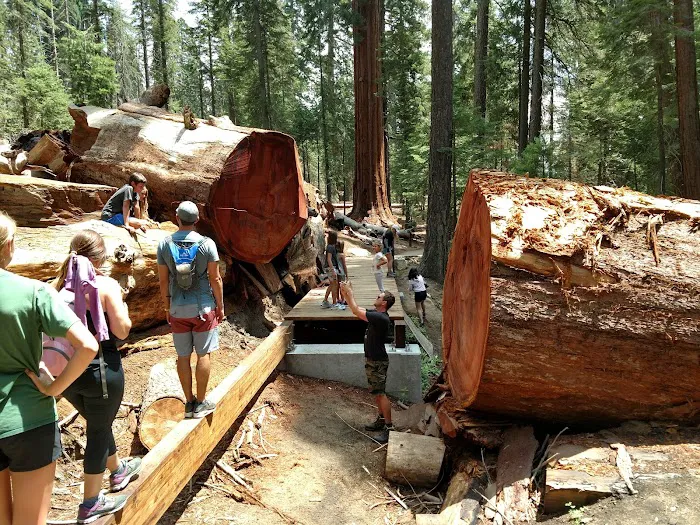 Redwood Meadow Campground 6