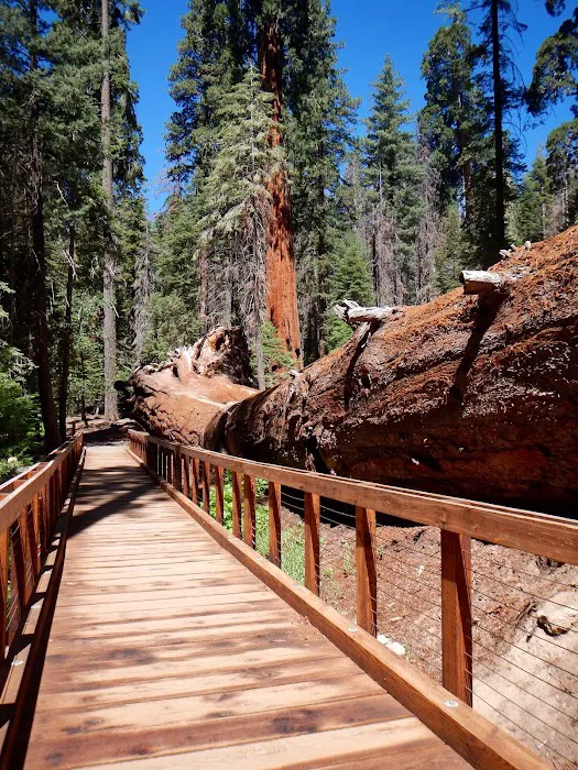 Redwood Meadow Campground 9