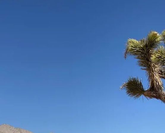 2nd Los Angeles Aqueduct Campsite