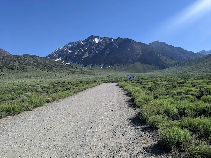 Crowley Lake BLM Campground 7