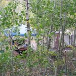 McGee Creek - Forest Service Campground